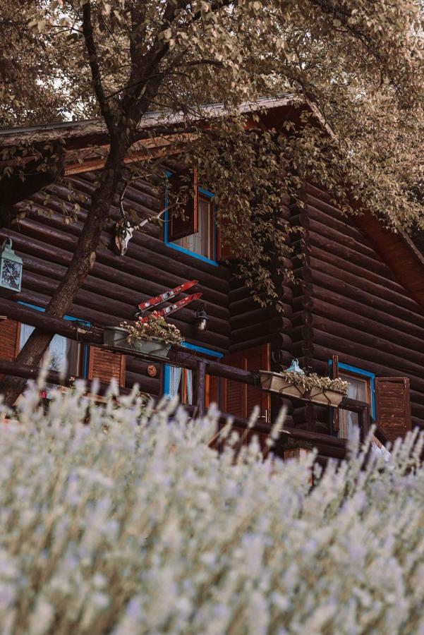 B&B Le Corone - Chalet Nel Bosco Cavalo Exterior foto